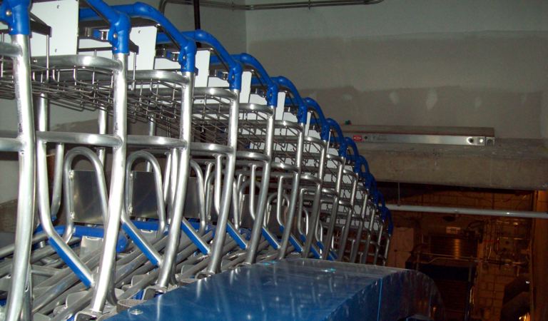 Baggage Cart Conveyor System