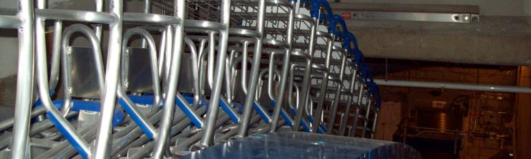 Baggage Cart Conveyor System